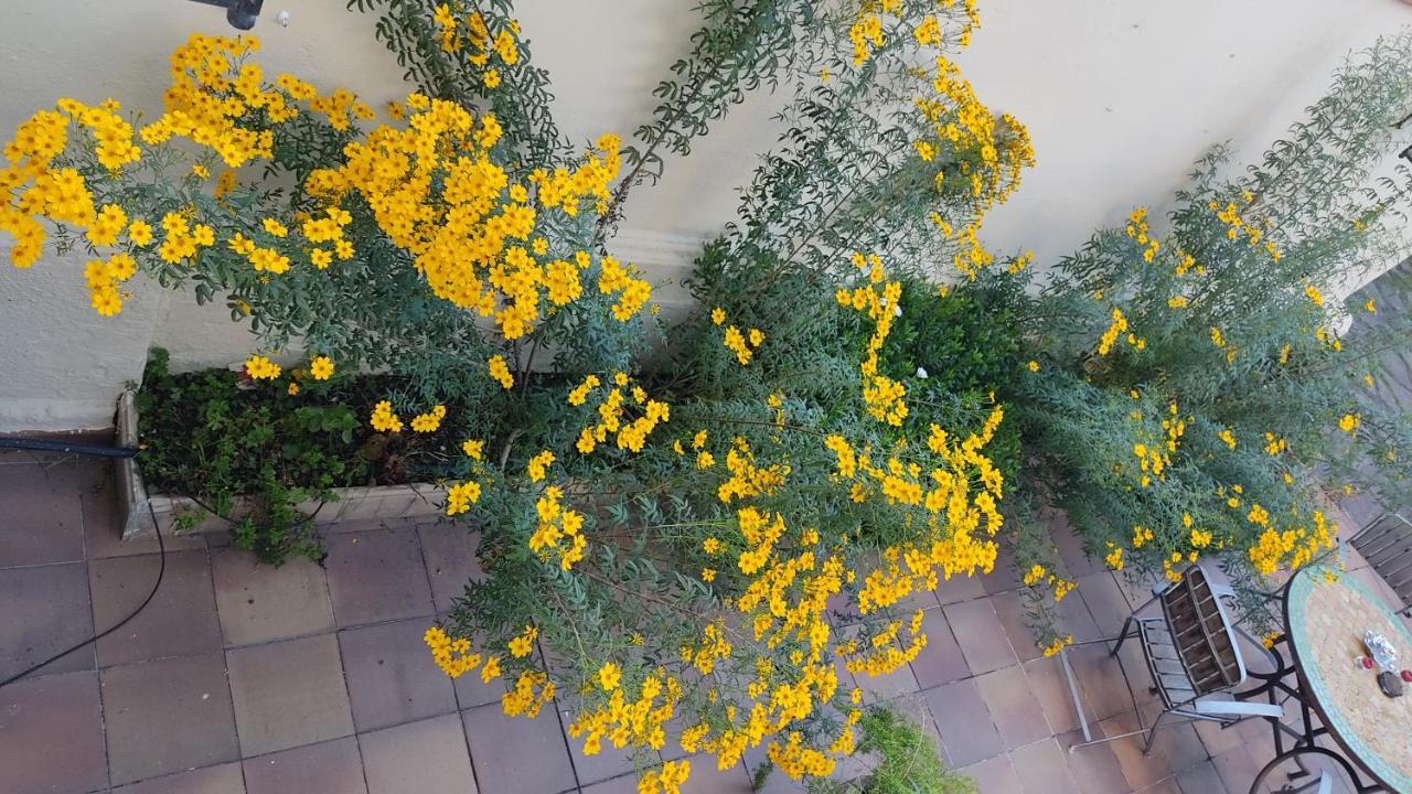 Casa Mo Διαμέρισμα Σαμπαντέλ Εξωτερικό φωτογραφία