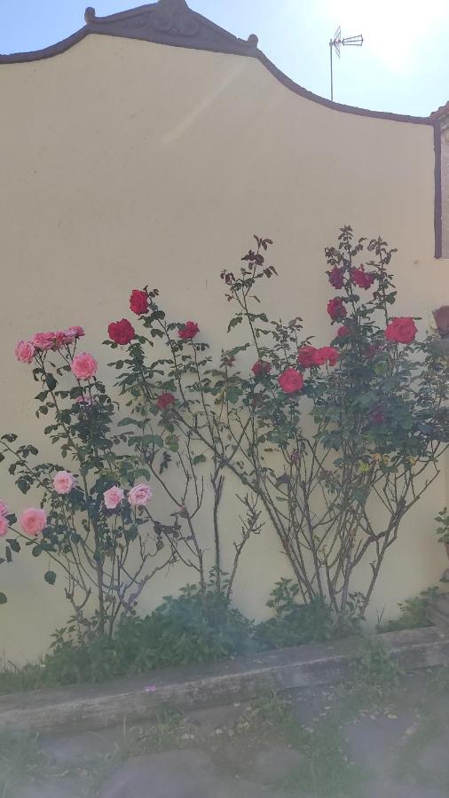 Casa Mo Διαμέρισμα Σαμπαντέλ Εξωτερικό φωτογραφία